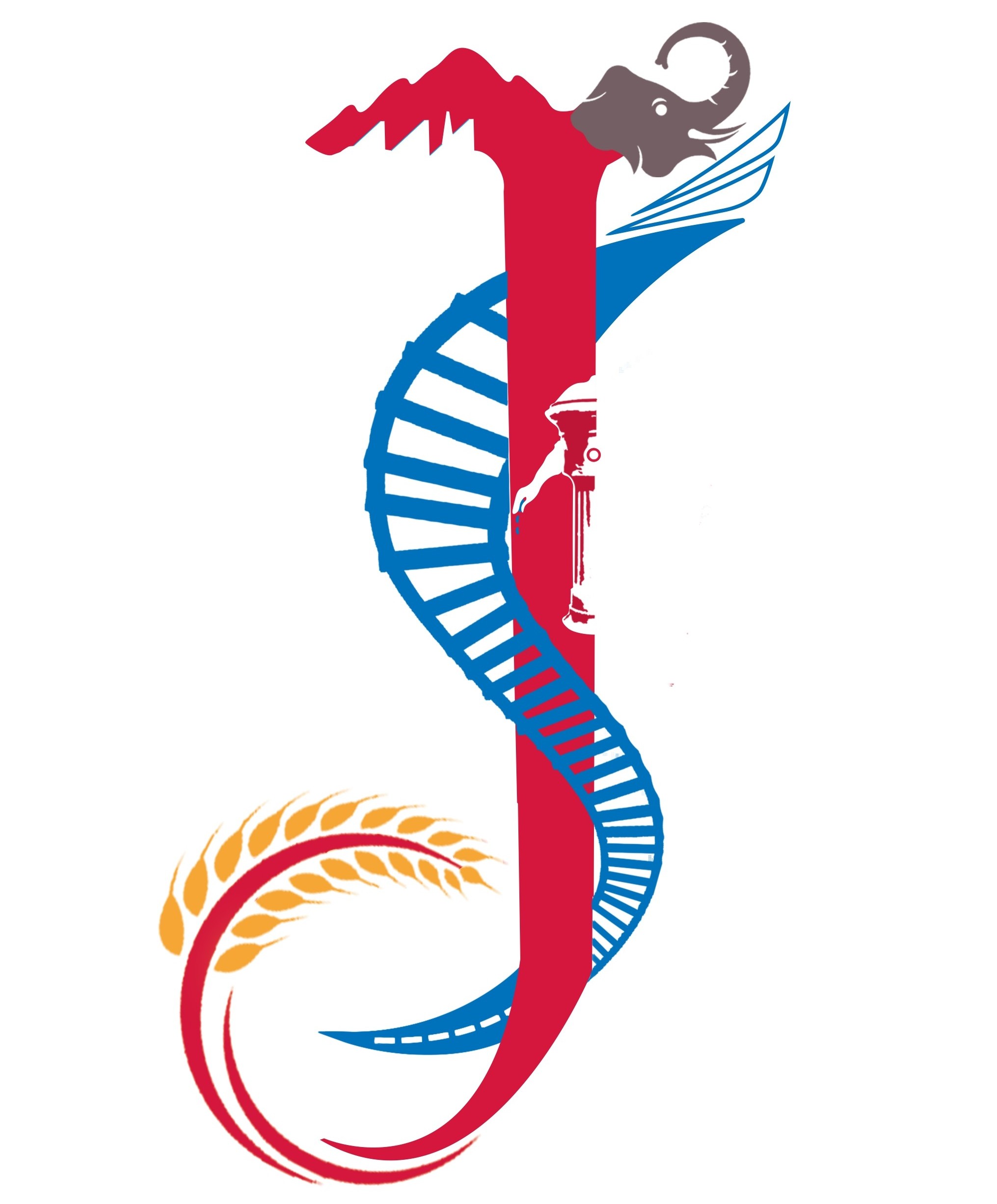 System Logo